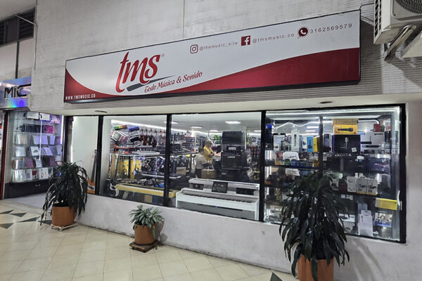 MC Tienda The Music Site instrumentos musicales venta guitarras bajos baterias acordeones cuerdas (11)